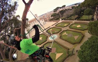 Sève Élagage Ardèche