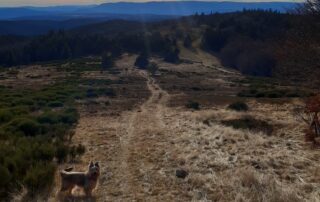 Une montagne à vivre 1