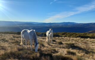 Une montagne à vivre 3