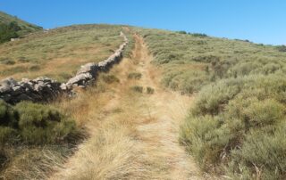 Une montagne à vivre 6
