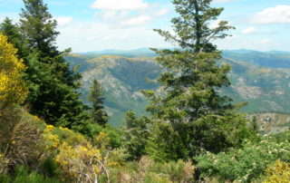 Les Randonneurs Cévenols