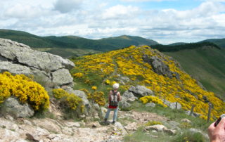 Les Randonneurs Cévenols