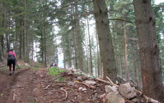 Les Randonneurs Cévenols