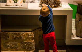 Castanea - Espace découverte de la châtaigne d'Ardèche