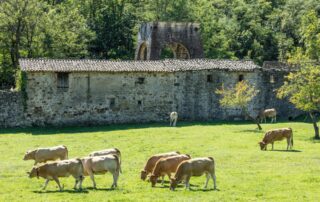 Prades - Ancien puit de mine ©sourcesetvolcans