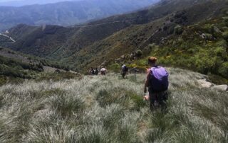 La Souche - Haut du Mont Aigu©M.Barkats