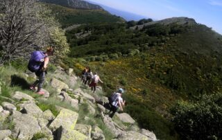 La Souche - Haut du Mont Aigu et Clapas ©M.Barkats