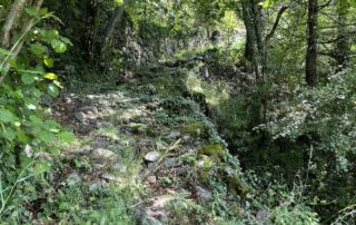 Barnas - Balade au sentier botanique - montée ©sourcesetvolcans