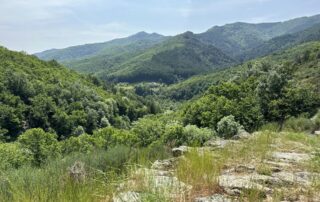 Barnas - Balade au sentier botanique - panorama au sommet ©sourcesetvolcans