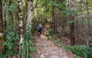 Thueyts - Montée en direction de Fargebelle et échelle de la reine ©sourcesetvolcans