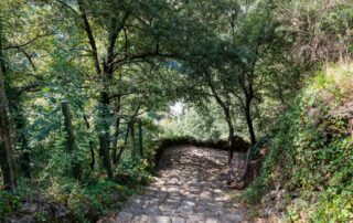 Thueyts - Escaliers vers le pont du diable - échelle de la reine ©sourcesetvolcans
