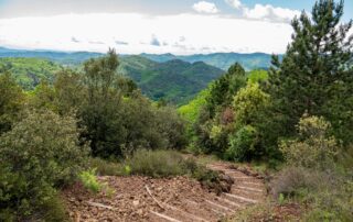 Aménagement Souilhol