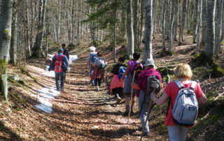 Ca marche à Barnas