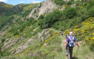 Ca marche à Barnas