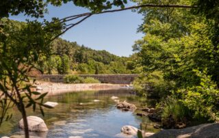 La Souche - Plan d'eau au calme ©sourcesvolcans