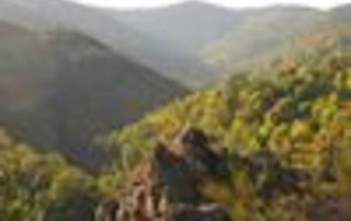 Avis de Tempête Cévenole