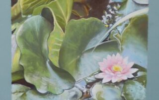 Atelier de Fontbonne - Martha Kubecka_Burzet