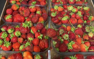 Glacier Châtaigne et Caramel