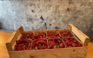 Glacier Châtaigne et Caramel