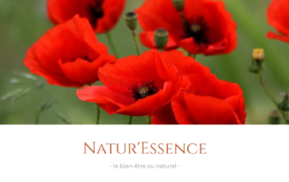 Natur'essence logo website