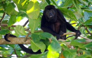 Chris Kale photographe_Prades