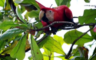 Chris Kale photographe_Prades