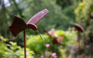 Association Colette Bonzo