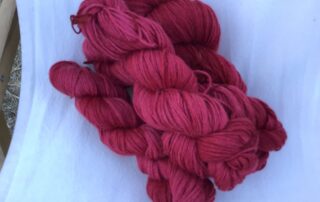 Alpaga et autres douceurs