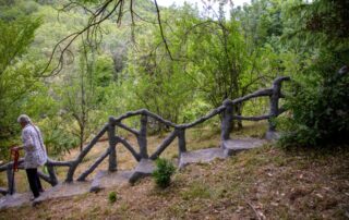 Mme Diersé Martine_Fabras