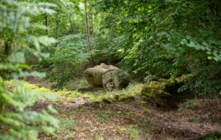 Mme Diersé Martine_Fabras