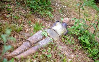 Mme Diersé Martine_Fabras