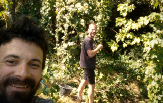 Malterie Brasserie l' Ale'Ouët_Chirols