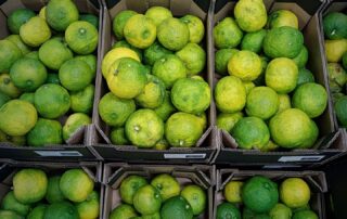 Malterie Brasserie l' Ale'Ouët_Chirols