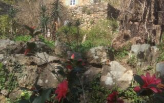 Château du Pin_Fabras