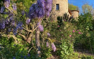 Château du Pin_Fabras