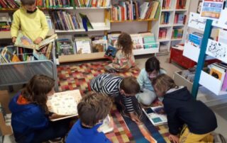 Bibliothèque_La Souche