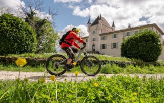 Base VTT | Circuit 02 : La coulée vive et le ruisseau des Freydeyres_Jaujac