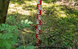 Mare aux libellules_Jaujac