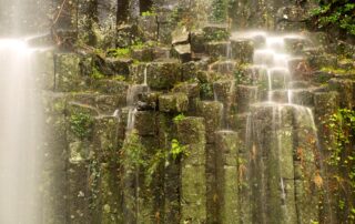 Fabras - Orgues basaltiques ©S.BUGNON