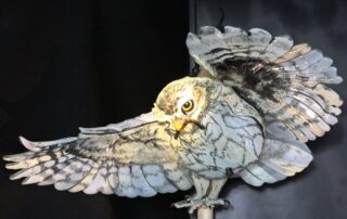 Aure de Col'Aure la vie_Prades