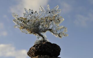 Aure de Col'Aure la vie_Prades