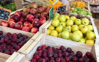 Les Frères Royé - magasin bio_Meyras