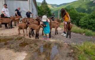 Chèvrerie de Péreyres_Péreyres