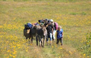 Randonnée avec un âne sur le GR®7 des monts d'Ardèche