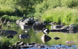 Balade et pique nique au bord de la rivière avec mon âne_Burzet