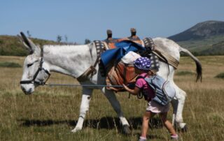 Ma première expérience avec un âne de randonnées