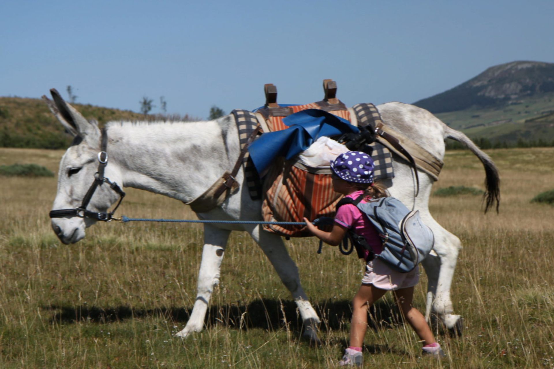 Ma première expérience avec un âne de randonnées
