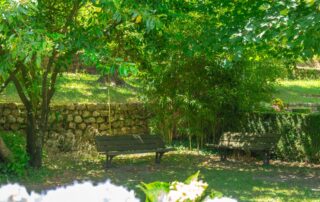 Parc et jardin Emile Jean_Mayres