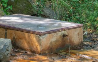 La source du Peschier_Jaujac