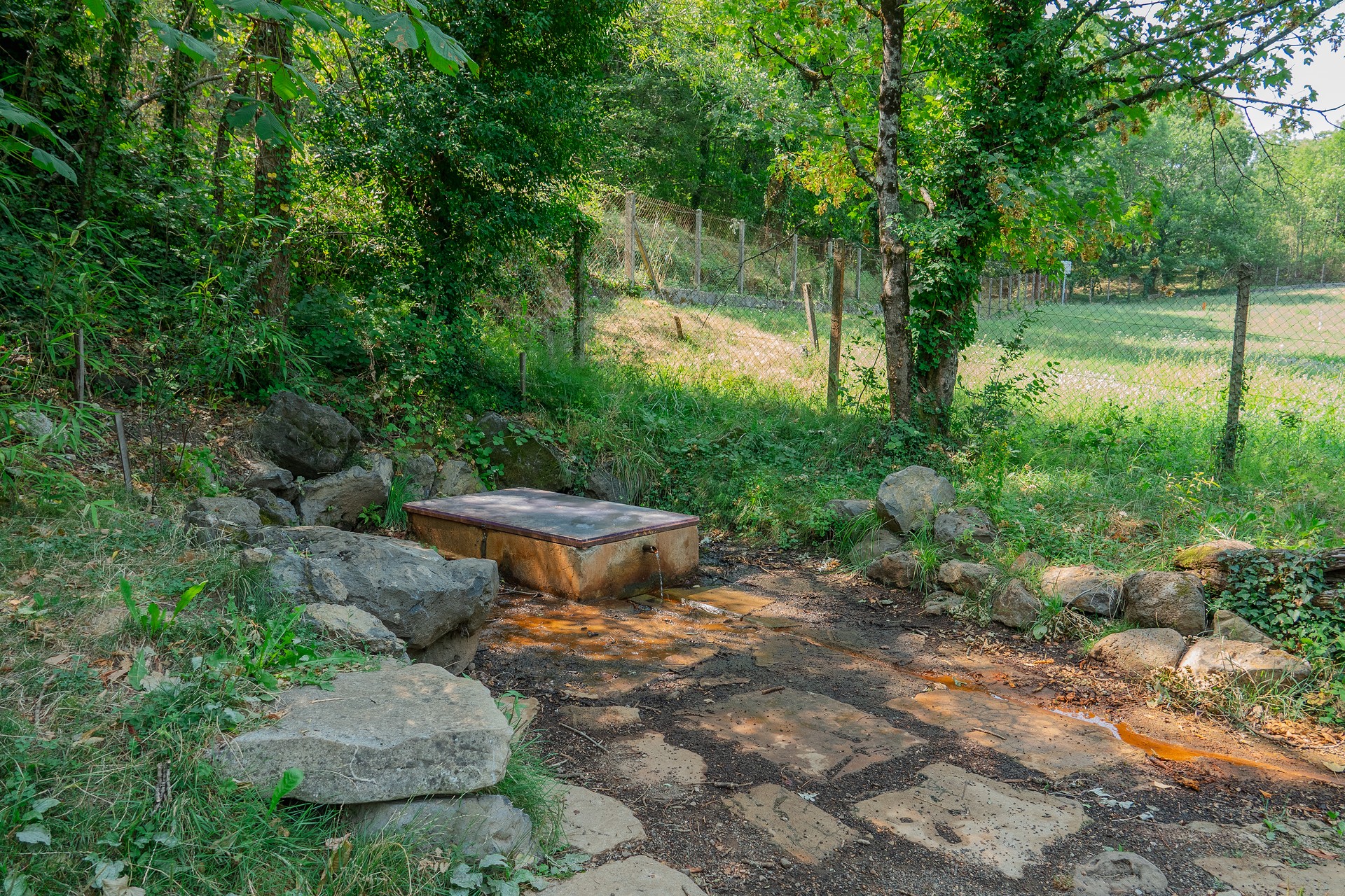 La source du Peschier dans le Parc Régnional des Monts d'Ardèche à Jaujac